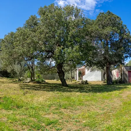 Casa Sa Funtana Holiday home
